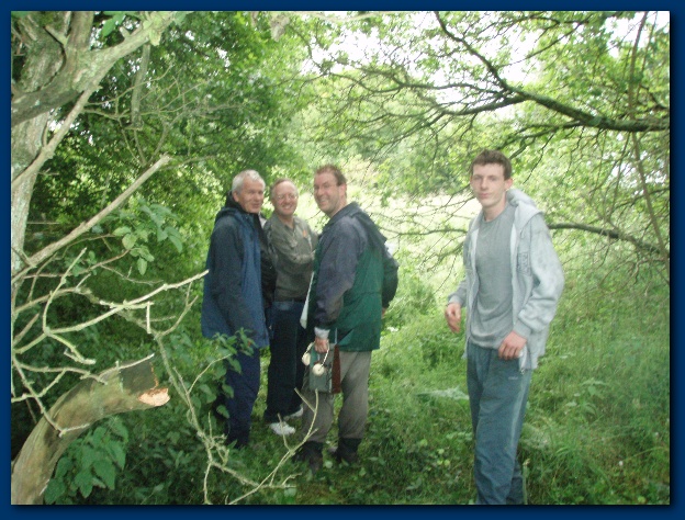 600x449 pixels (176K)